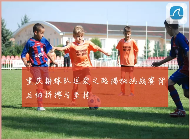 重庆排球队逆袭之路揭秘挑战赛背后的拼搏与坚持