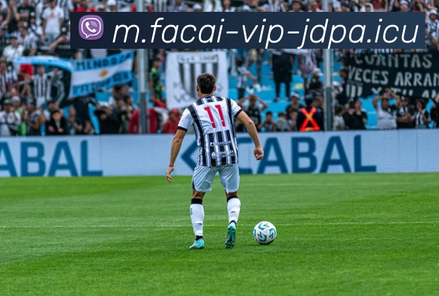 乐鱼体育发展历程